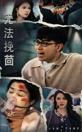Irretrievable (56 episodes) Zhong Yingling (2025) Watch online cloud disk resources