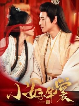 Little Girl in Huashang (62 episodes) (2025) Watch online cloud disk resources