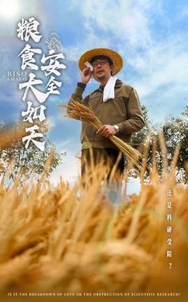 Food Security as Important as Heaven (43 episodes) Cheng Na (2025) Watch Online Cloud Disk Resources